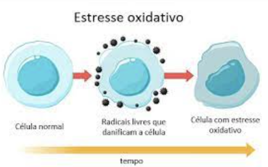 oxidantes