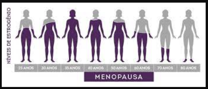hormonios na menopausa