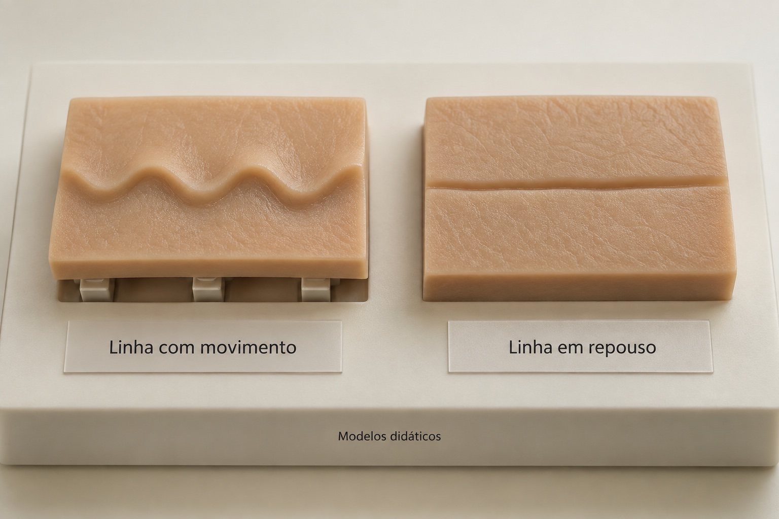 Modelos didáticos de uma linha formada com movimento e de uma linha em repouso.